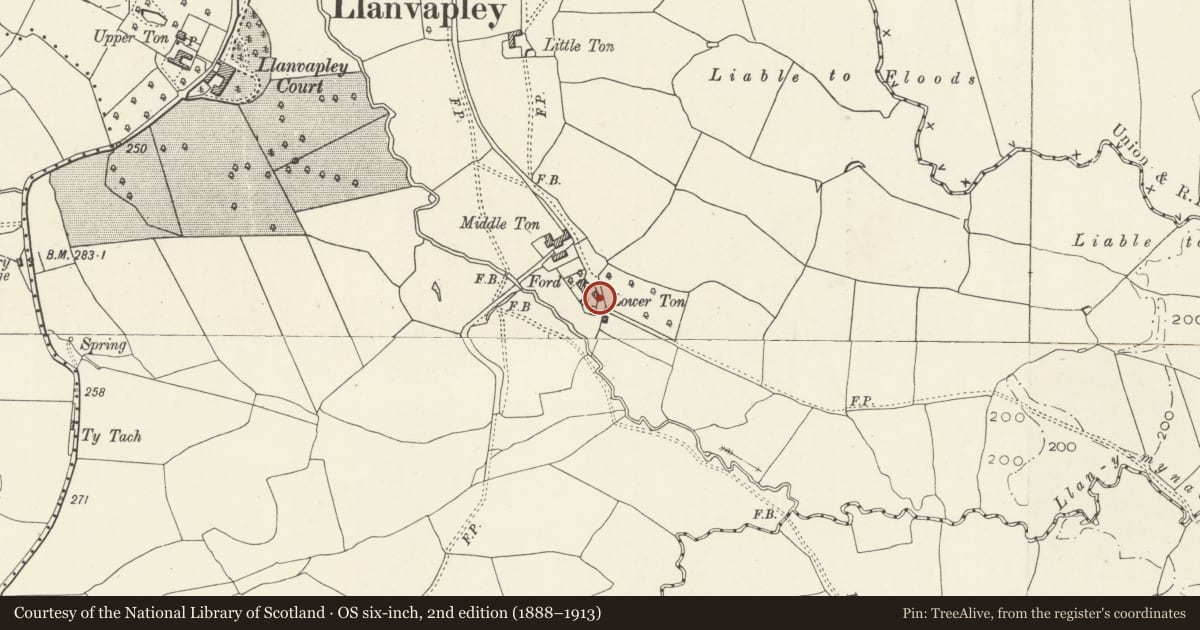 Ordnance Survey six-inch map, 2nd edition (1888–1913) covering the location of Granary at Lower Ton, Gobion Fawr, Monmouthshire, with a pin at the register's coordinates