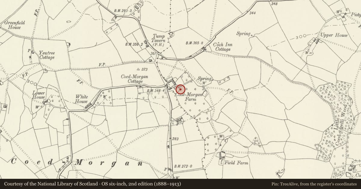 Ordnance Survey six-inch map, 2nd edition (1888–1913) covering the location of Dovecote at Coed Morgan, Gobion Fawr, Monmouthshire, with a pin at the register's coordinates