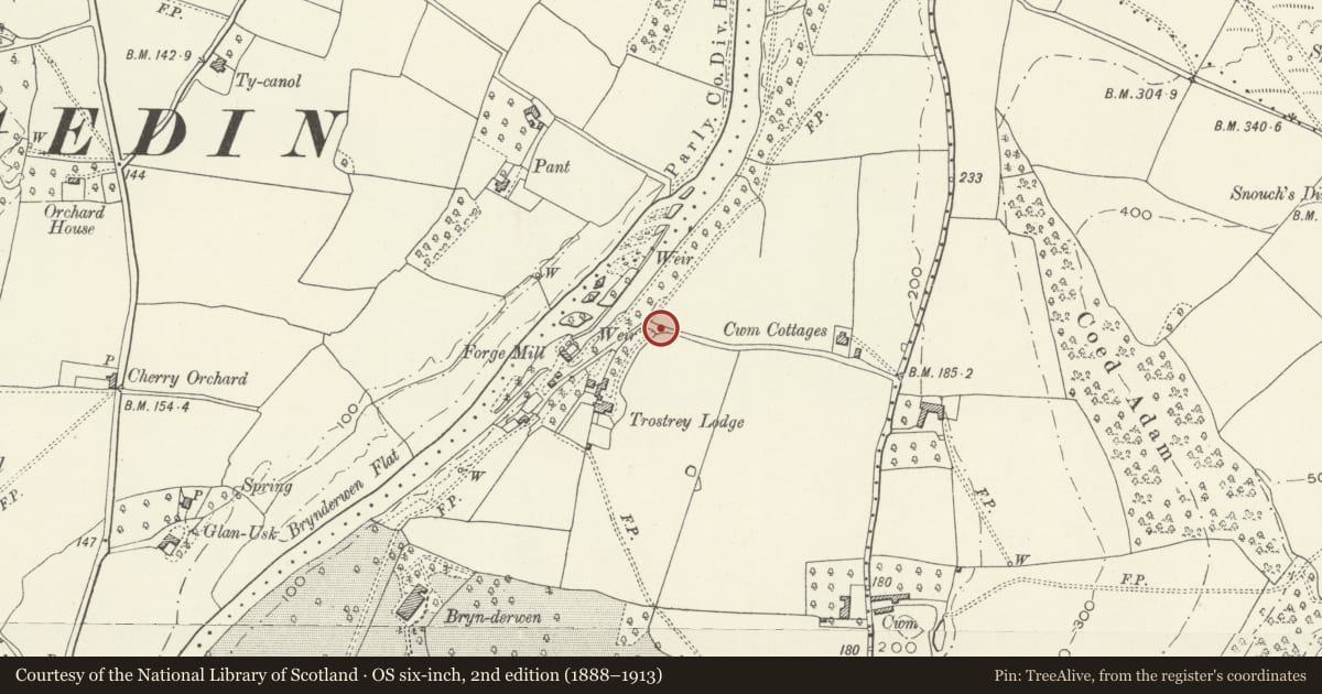 Ordnance Survey six-inch map, 2nd edition (1888–1913) covering the location of Garden railings and gate at Trostrey Lodge, Llanarth, Monmouthshire, with a pin at the register's coordinates