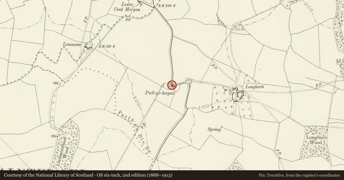 Ordnance Survey six-inch map, 2nd edition (1888–1913) covering the location of Pwll-yr-Hwyaid, Llanarth, Monmouthshire, with a pin at the register's coordinates