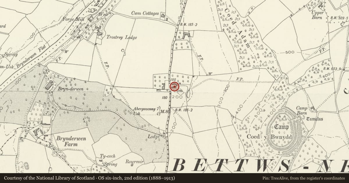 Ordnance Survey six-inch map, 2nd edition (1888–1913) covering the location of Open-bay outbuilding on S side of farmyard at Cwm Farm, Llanarth, Monmouthshire, with a pin at the register's coordinates