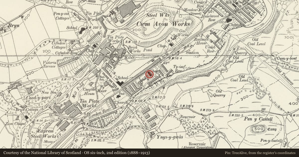 Ordnance Survey six-inch map, 2nd edition (1888–1913) covering the location of Penuel Chapel, Cwmavon, Neath Port Talbot, with a pin at the register's coordinates