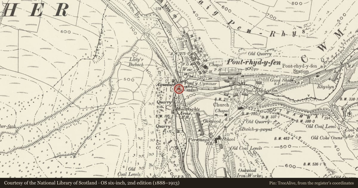 Ordnance Survey six-inch map, 2nd edition (1888–1913) covering the location of Pontrhydyfen Viaduct, Cwmavon, Neath Port Talbot, with a pin at the register's coordinates