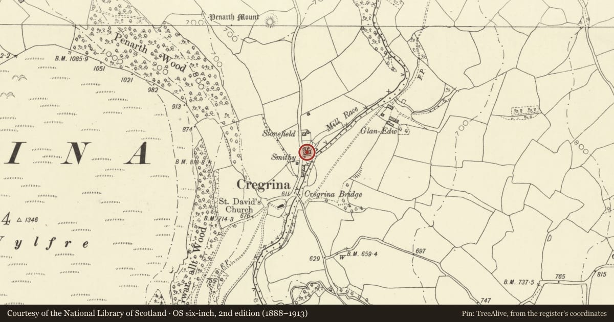 Ordnance Survey six-inch map, 2nd edition (1888–1913) covering the location of Cregrina Free Mission with gates and railings, Glascwm, Powys, with a pin at the register's coordinates