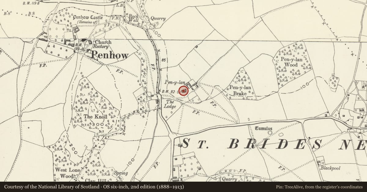 Ordnance Survey six-inch map, 2nd edition (1888–1913) covering the location of Pen-y-lan Farmhouse, Caerwent, Monmouthshire, with a pin at the register's coordinates