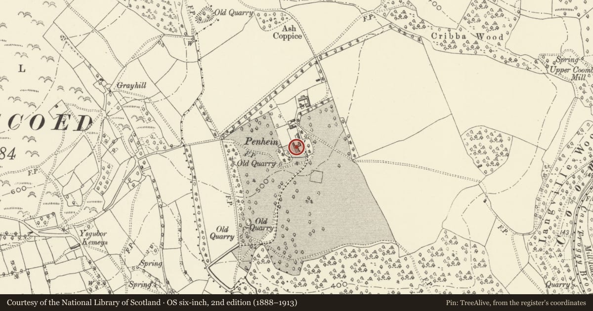 Ordnance Survey six-inch map, 2nd edition (1888–1913) covering the location of Penhein, Caerwent, Monmouthshire, with a pin at the register's coordinates
