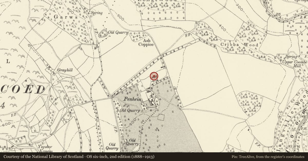 Ordnance Survey six-inch map, 2nd edition (1888–1913) covering the location of Barn at Penhein, Caerwent, Monmouthshire, with a pin at the register's coordinates
