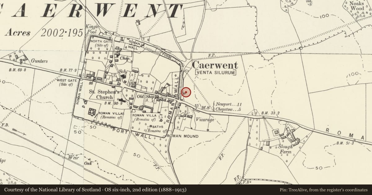 Ordnance Survey six-inch map, 2nd edition (1888–1913) covering the location of Burton Homes, Caerwent, Monmouthshire, with a pin at the register's coordinates