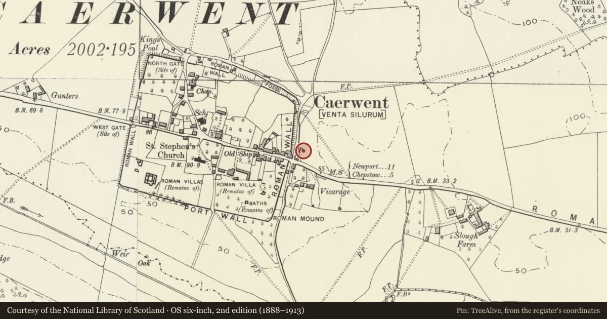 Ordnance Survey six-inch map, 2nd edition (1888–1913) covering the location of Burton Homes, Caerwent, Monmouthshire, with a pin at the register's coordinates