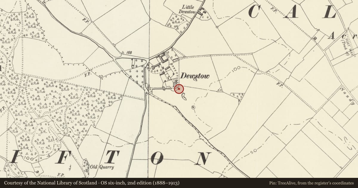 Ordnance Survey six-inch map, 2nd edition (1888–1913) covering the location of Grotto about 30m to the south east of Dewstow House, Caerwent, Monmouthshire, with a pin at the register's coordinates