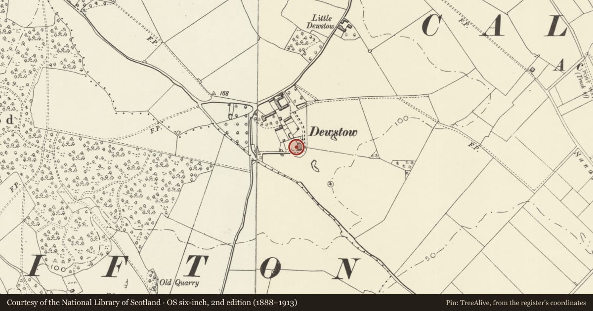 Ordnance Survey six-inch map, 2nd edition (1888–1913) covering the location of Terrace, Wall, Grotto and Underground Garden about 5m to north west of Dewstow House, Caerwent, Monmouthshire, with a pin at the register's coordinates