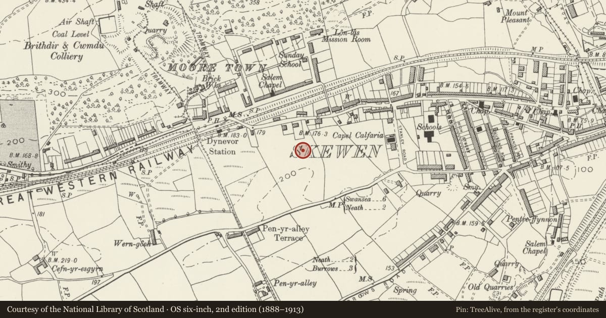 Ordnance Survey six-inch map, 2nd edition (1888–1913) covering the location of Bethania Chapel, Coedffranc, Neath Port Talbot, with a pin at the register's coordinates