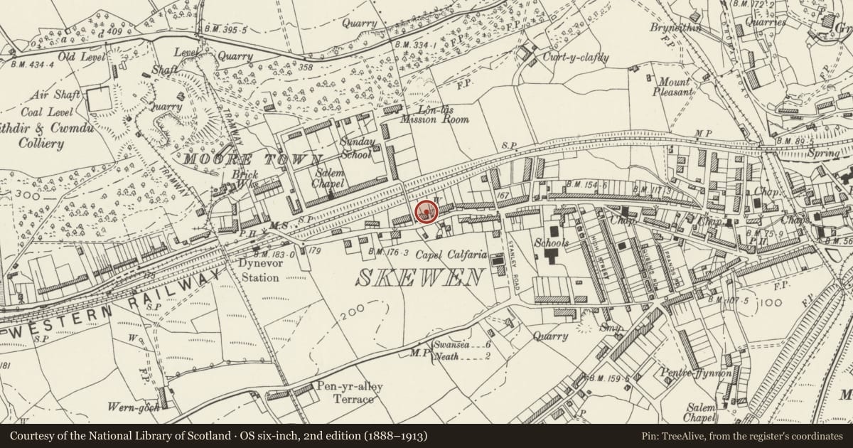 Ordnance Survey six-inch map, 2nd edition (1888–1913) covering the location of New Road Methodist Church, Coedffranc, Neath Port Talbot, with a pin at the register's coordinates