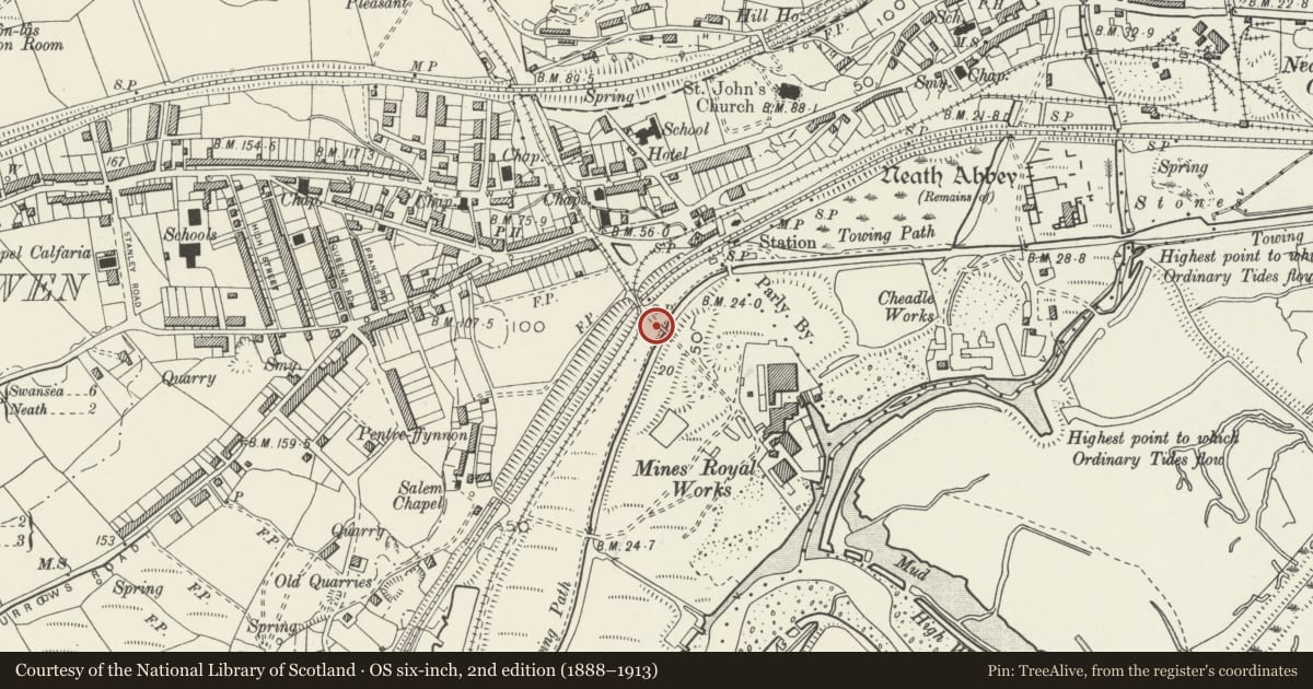Ordnance Survey six-inch map, 2nd edition (1888–1913) covering the location of Tramroad bridge over Skewen Cutting, Tennant Canal (partly in Dyffryn Clydach Community), Coedffranc, Neath Port Talbot, with a pin at the register's coordinates