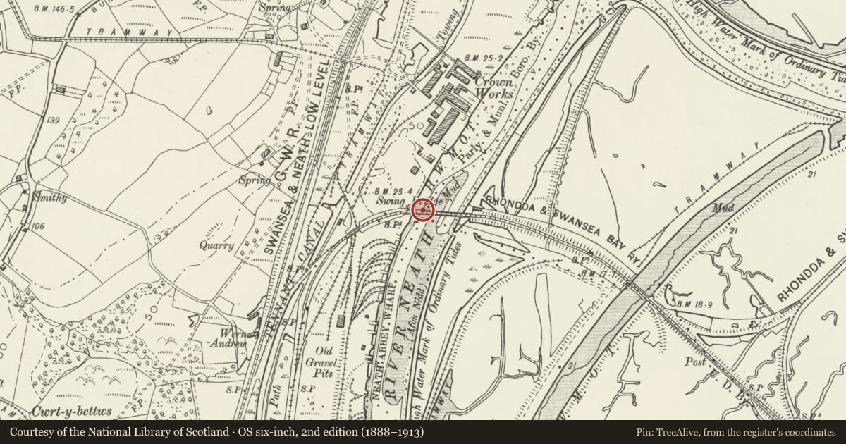 Ordnance Survey six-inch map, 2nd edition (1888–1913) covering the location of Neath River swing bridge (partly in Neath and Briton Ferry Communities), Coedffranc, Neath Port Talbot, with a pin at the register's coordinates