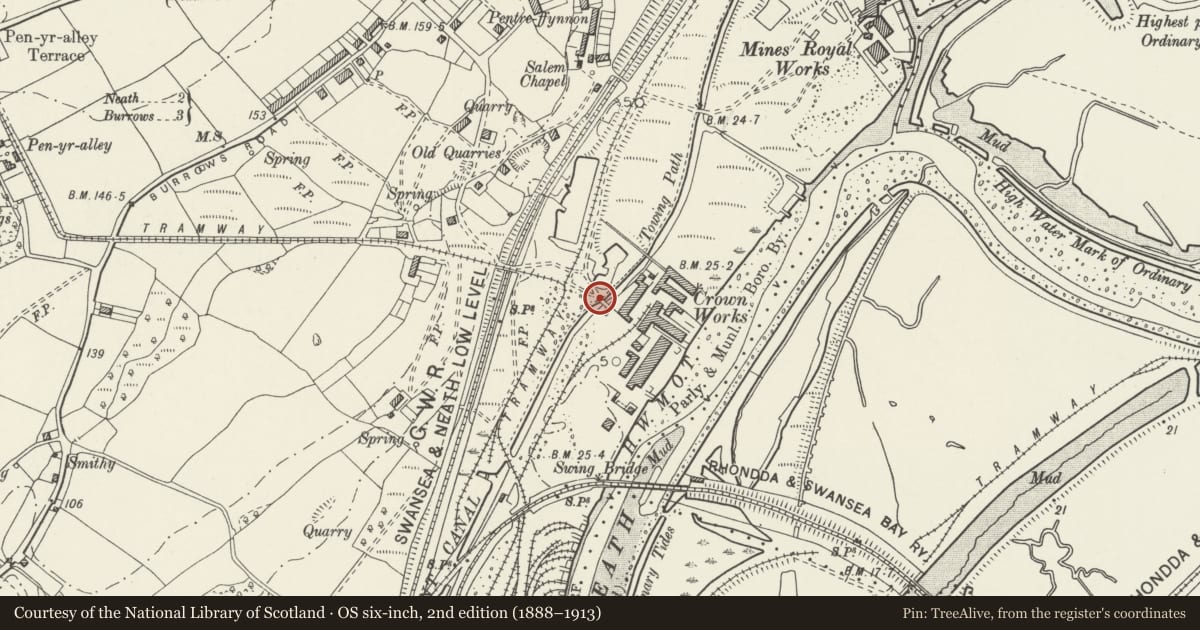 Ordnance Survey six-inch map, 2nd edition (1888–1913) covering the location of Bridge over Tennant Canal W of former Crown Copperworks, Coedffranc, Neath Port Talbot, with a pin at the register's coordinates