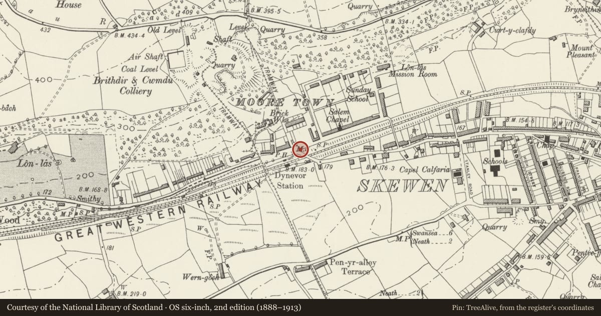 Ordnance Survey six-inch map, 2nd edition (1888–1913) covering the location of Milestone on N side of A4230, Coedffranc, Neath Port Talbot, with a pin at the register's coordinates