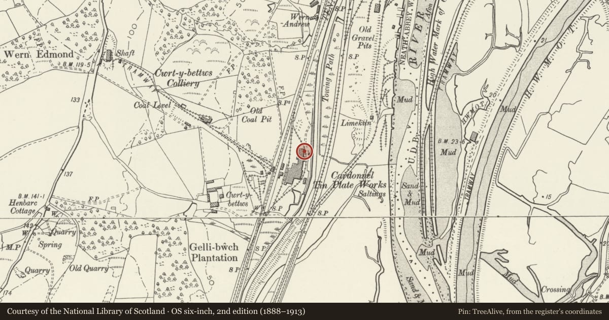 Ordnance Survey six-inch map, 2nd edition (1888–1913) covering the location of Boiler stack of former Cardonnel Tinplate Works, Coedffranc, Neath Port Talbot, with a pin at the register's coordinates