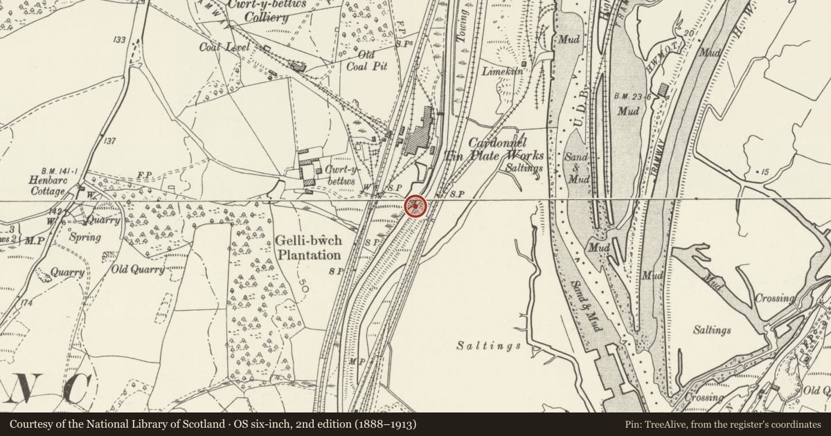 Ordnance Survey six-inch map, 2nd edition (1888–1913) covering the location of Bridge over Tennant Canal E of Cwrt y Bettws Farm, Coedffranc, Neath Port Talbot, with a pin at the register's coordinates