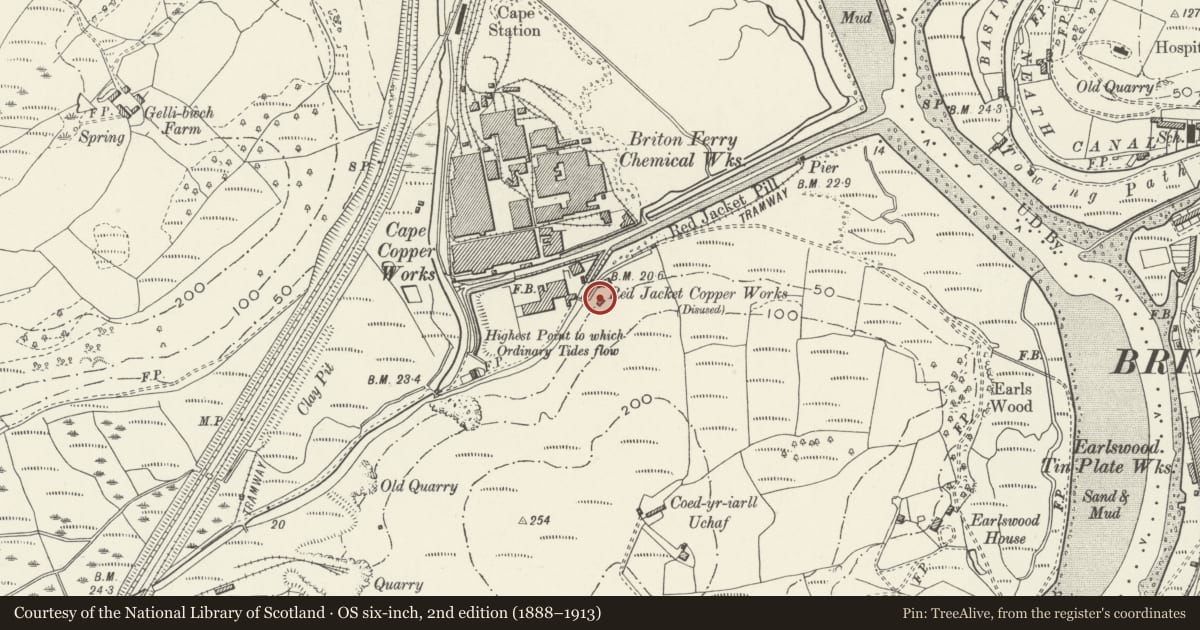 Ordnance Survey six-inch map, 2nd edition (1888–1913) covering the location of River Lock and attached bridges at Red Jacket Pill, Coedffranc, Neath Port Talbot, with a pin at the register's coordinates
