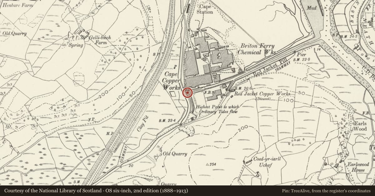 Ordnance Survey six-inch map, 2nd edition (1888–1913) covering the location of Weir on E side of Tennant Canal at Red Jacket Pill, Coedffranc, Neath Port Talbot, with a pin at the register's coordinates