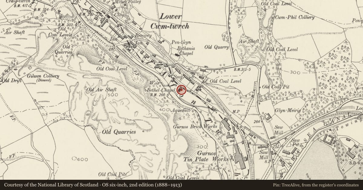Ordnance Survey six-inch map, 2nd edition (1888–1913) covering the location of Bethel Independent Chapel, Ystradgynlais, Powys, with a pin at the register's coordinates