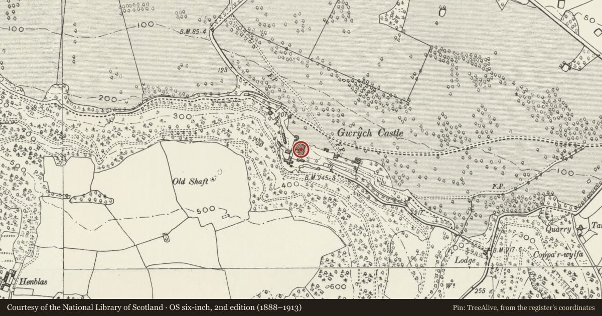 Ordnance Survey six-inch map, 2nd edition (1888–1913) covering the location of Gwrych Castle including attached walls and towers and Stable Block, Llanddulas and Rhyd-y-Foel, Conwy, with a pin at the register's coordinates