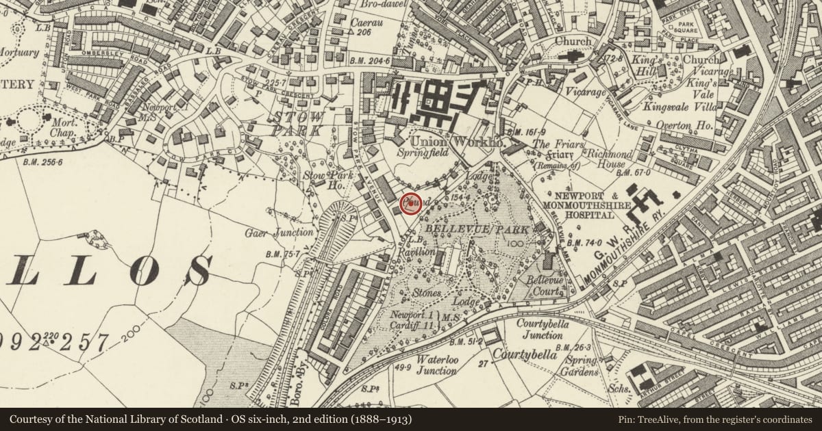 Ordnance Survey six-inch map, 2nd edition (1888–1913) covering the location of 1-6 Burton Homes, Stow Hill, Newport, with a pin at the register's coordinates