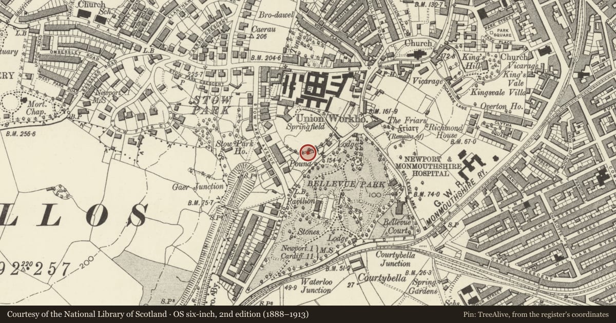 Ordnance Survey six-inch map, 2nd edition (1888–1913) covering the location of 7-12 Burton Homes, Stow Hill, Newport, with a pin at the register's coordinates