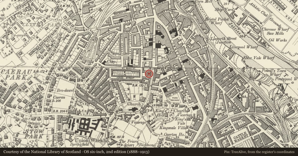Ordnance Survey six-inch map, 2nd edition (1888–1913) covering the location of St Woolos County Primary School, including wall and railings, Stow Hill, Newport, with a pin at the register's coordinates