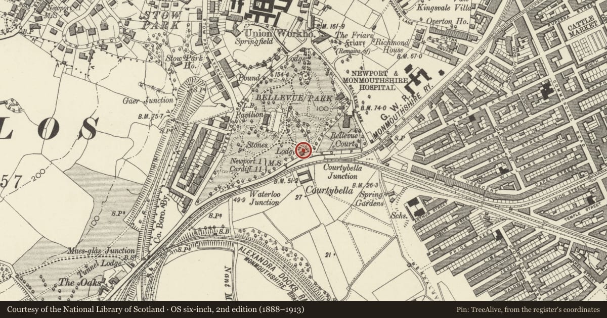Ordnance Survey six-inch map, 2nd edition (1888–1913) covering the location of Cardiff Road Lodge at Belle Vue Park, including attached Gates & Wall, Stow Hill, Newport, with a pin at the register's coordinates