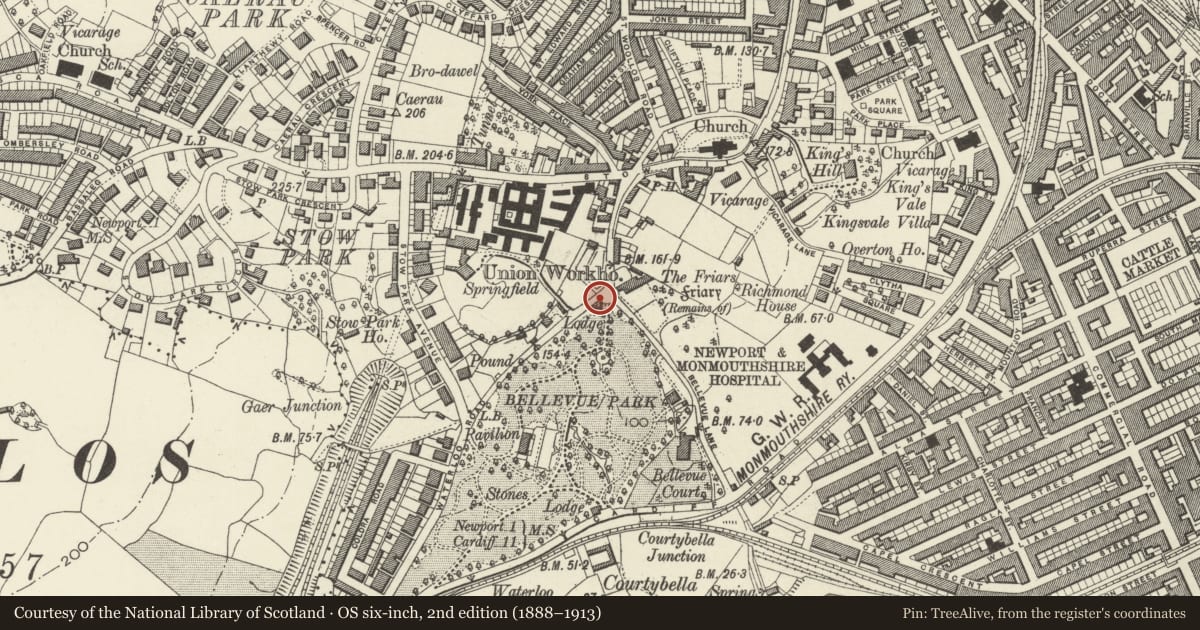 Ordnance Survey six-inch map, 2nd edition (1888–1913) covering the location of Upper Lodge at Belle Vue Park, including Attached Wall & Gatepiers, Stow Hill, Newport, with a pin at the register's coordinates