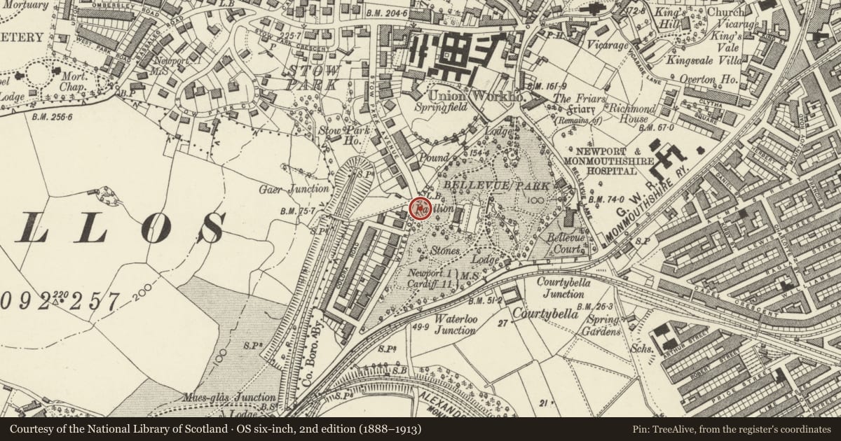 Ordnance Survey six-inch map, 2nd edition (1888–1913) covering the location of Waterloo Road Gatepiers & Gates to Belle Vue Park, Stow Hill, Newport, with a pin at the register's coordinates