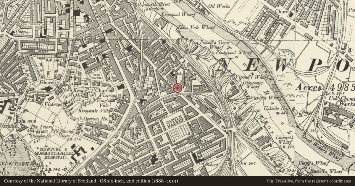 Ordnance Survey six-inch map, 2nd edition (1888–1913) covering the location of 78 Lower Dock Street, Stow Hill, Newport, with a pin at the register's coordinates