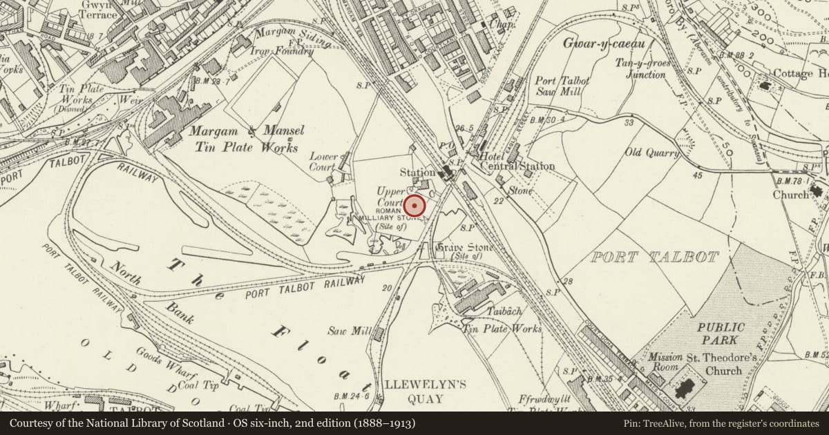 Ordnance Survey six-inch map, 2nd edition (1888–1913) covering the location of Harbour Court, Margam Moors, Neath Port Talbot, with a pin at the register's coordinates