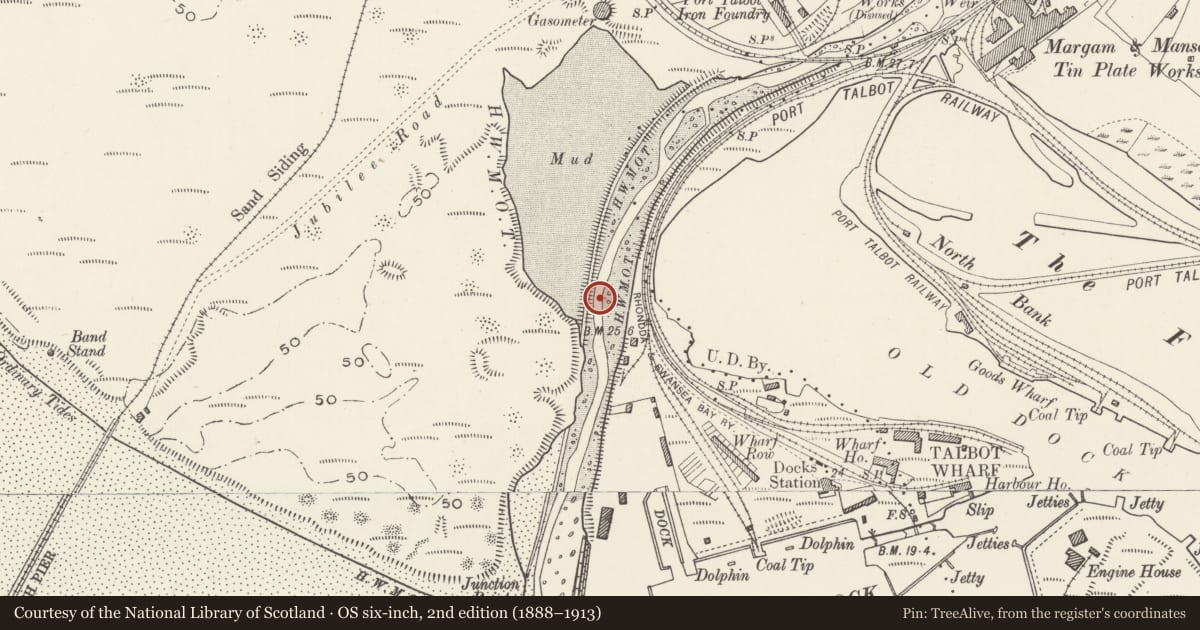 Ordnance Survey six-inch map, 2nd edition (1888–1913) covering the location of Plate-Girder Bridge, Sandfields East, Neath Port Talbot, with a pin at the register's coordinates