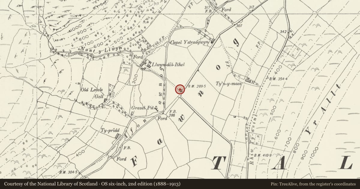 Ordnance Survey six-inch map, 2nd edition (1888–1913) covering the location of Roadside barn at Llwyn-dol-ithel farm, Llanfihangel-y-Pennant, Gwynedd, with a pin at the register's coordinates