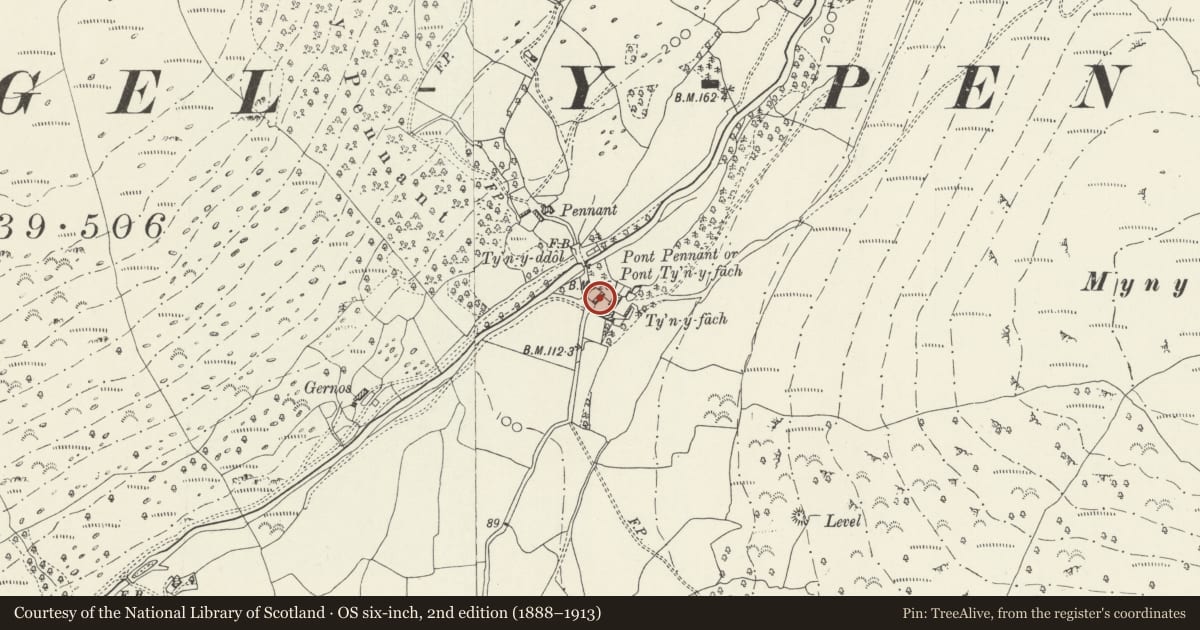 Ordnance Survey six-inch map, 2nd edition (1888–1913) covering the location of Old Ty'n-y-fach, Llanfihangel-y-Pennant, Gwynedd, with a pin at the register's coordinates