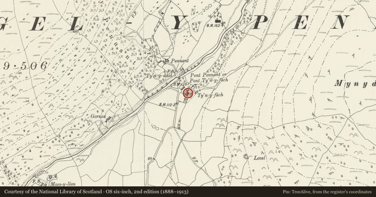 Ordnance Survey six-inch map, 2nd edition (1888–1913) covering the location of Granary at Ty'n-y-fach, Llanfihangel-y-Pennant, Gwynedd, with a pin at the register's coordinates
