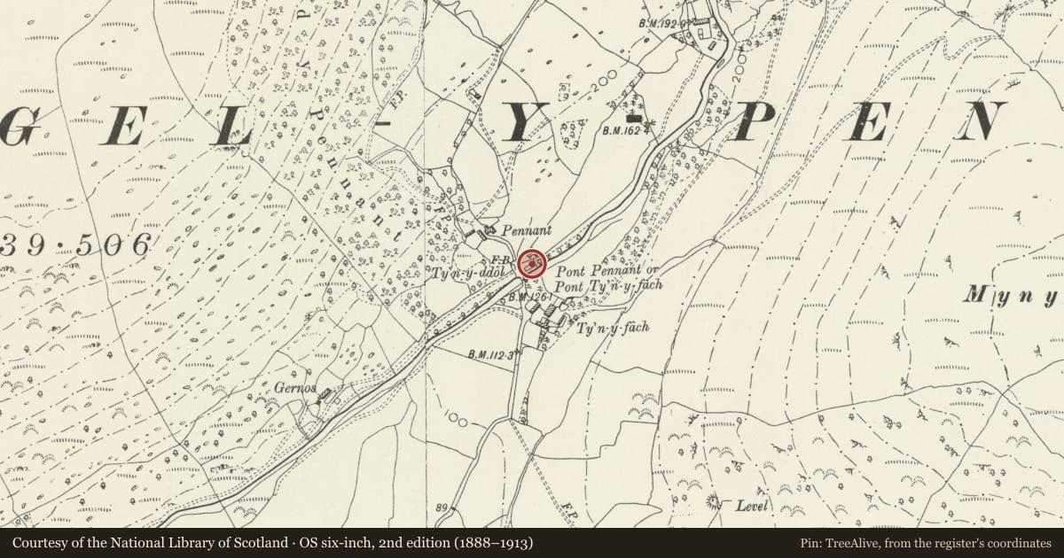 Ordnance Survey six-inch map, 2nd edition (1888–1913) covering the location of Monument to Mary Jones, with vestiges of her early home, Ty'n-y-ddol, Llanfihangel-y-Pennant, Gwynedd, with a pin at the register's coordinates