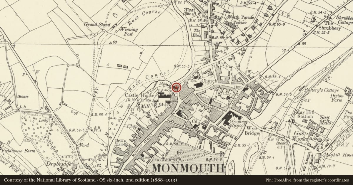 Ordnance Survey six-inch map, 2nd edition (1888–1913) covering the location of Nelson Museum, Local History Centre, and Monmouthshire County Council Area Office, Monmouthshire, with a pin at the register's coordinates