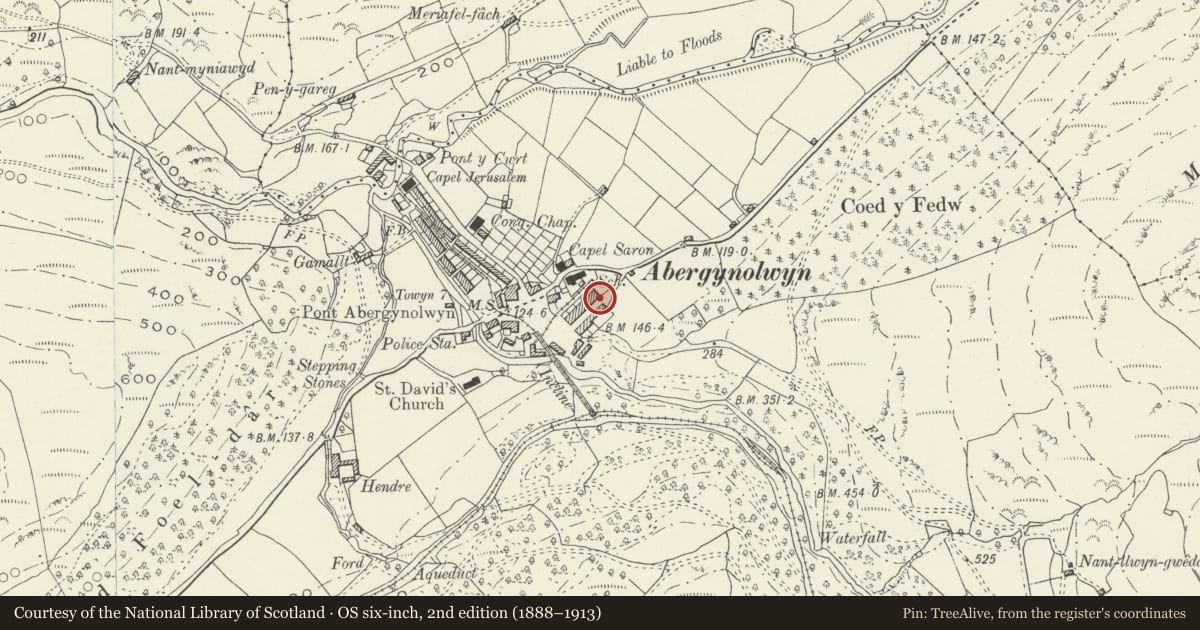 Ordnance Survey six-inch map, 2nd edition (1888–1913) covering the location of Brynderw, Llanfihangel-y-Pennant, Gwynedd, with a pin at the register's coordinates