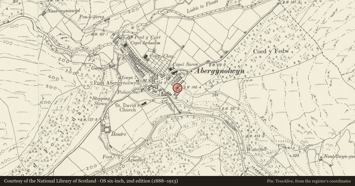 Ordnance Survey six-inch map, 2nd edition (1888–1913) covering the location of 9A Heol Tan-y-bryn, including railings to front, Llanfihangel-y-Pennant, Gwynedd, with a pin at the register's coordinates