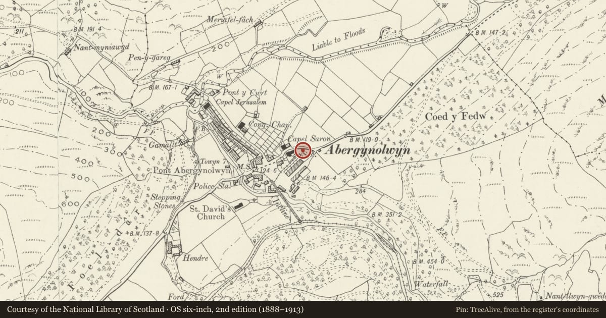 Ordnance Survey six-inch map, 2nd edition (1888–1913) covering the location of Mile Marker, Llanfihangel-y-Pennant, Gwynedd, with a pin at the register's coordinates