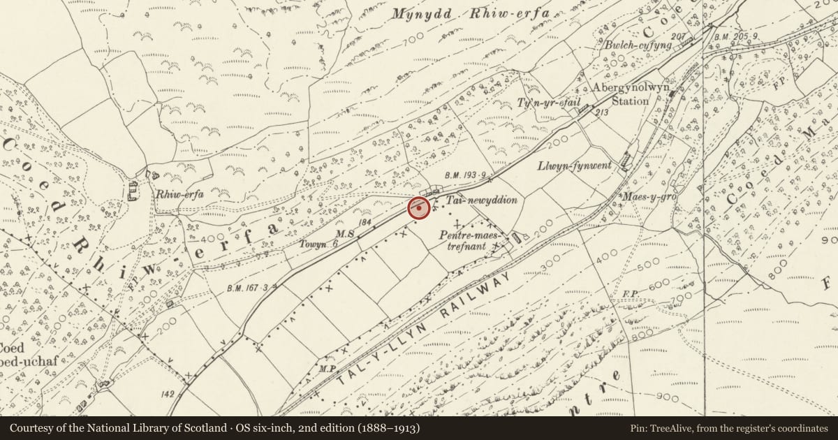 Ordnance Survey six-inch map, 2nd edition (1888–1913) covering the location of Mile Marker, Llanfihangel-y-Pennant, Gwynedd, with a pin at the register's coordinates