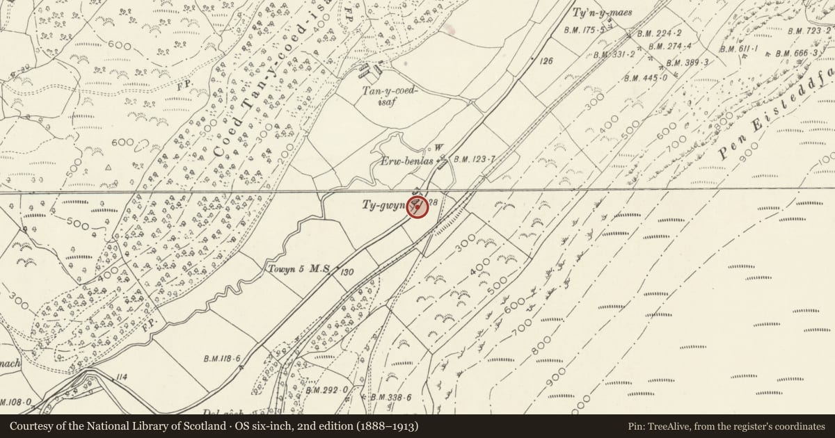 Ordnance Survey six-inch map, 2nd edition (1888–1913) covering the location of Mile Marker, Llanfihangel-y-Pennant, Gwynedd, with a pin at the register's coordinates