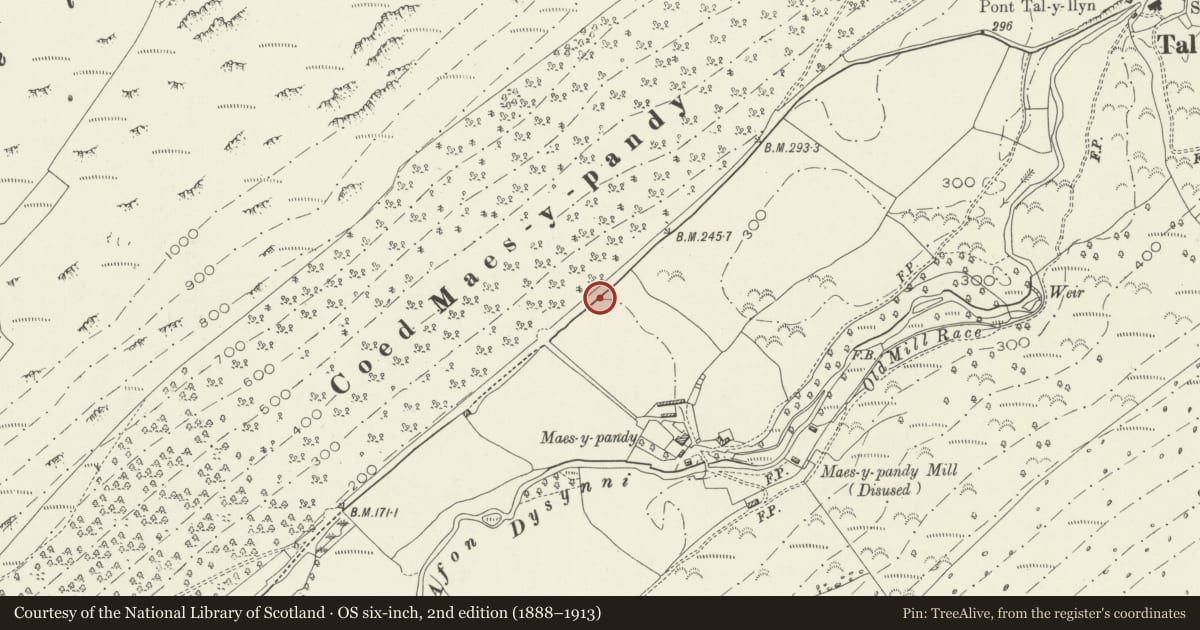 Ordnance Survey six-inch map, 2nd edition (1888–1913) covering the location of Mile Marker, Llanfihangel-y-Pennant, Gwynedd, with a pin at the register's coordinates