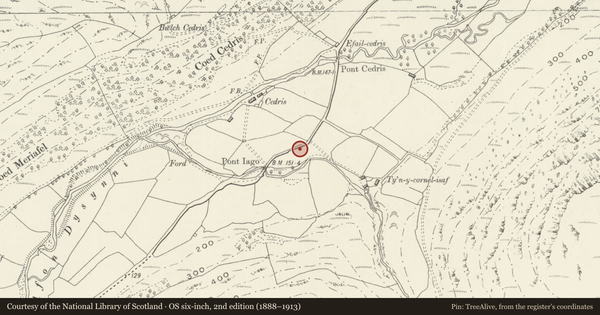 Ordnance Survey six-inch map, 2nd edition (1888–1913) covering the location of Mile Marker, Llanfihangel-y-Pennant, Gwynedd, with a pin at the register's coordinates