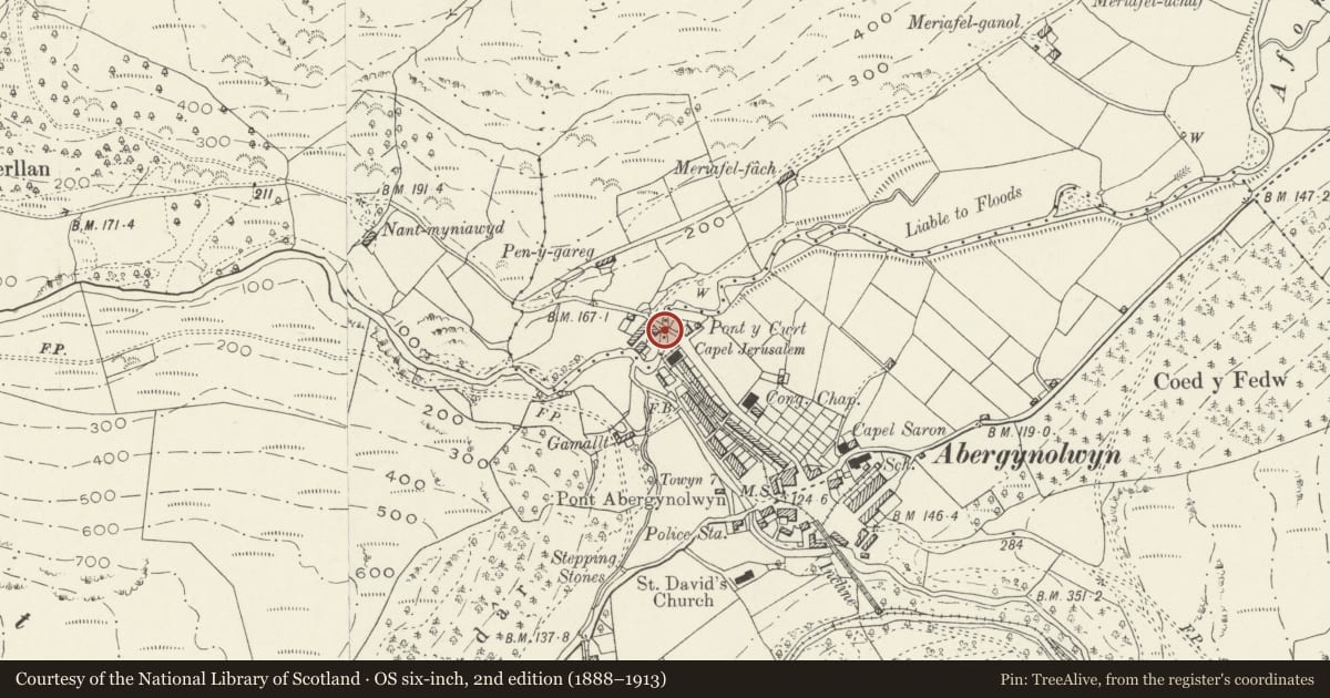 Ordnance Survey six-inch map, 2nd edition (1888–1913) covering the location of Pont y Cwrt, Llanfihangel-y-Pennant, Gwynedd, with a pin at the register's coordinates