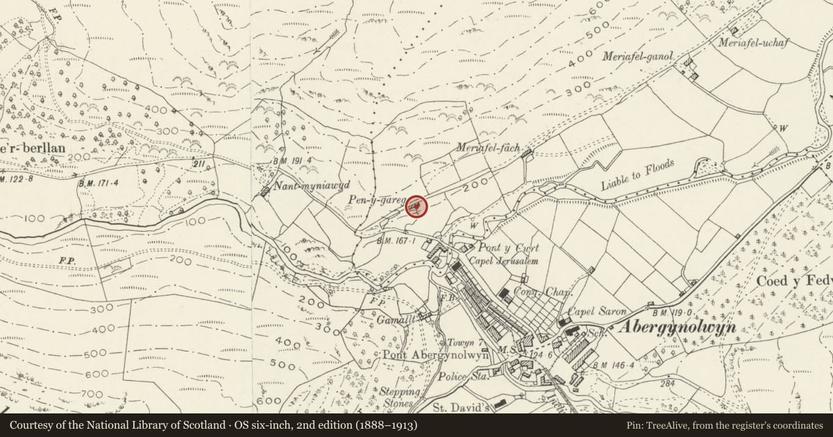 Ordnance Survey six-inch map, 2nd edition (1888–1913) covering the location of Pen-y-garreg, Llanfihangel-y-Pennant, Gwynedd, with a pin at the register's coordinates